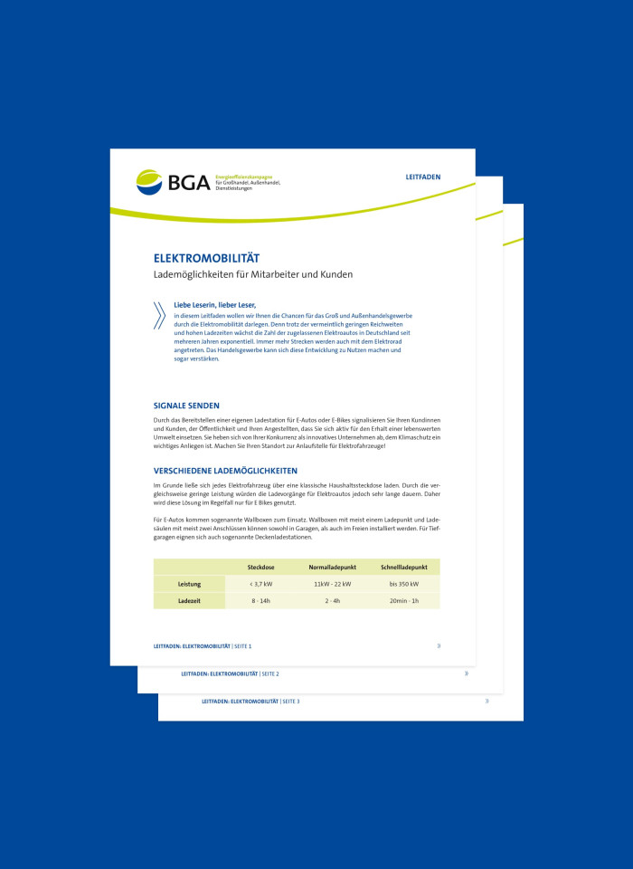 BGA Energieeffizienz-Kampagne Leitfaden